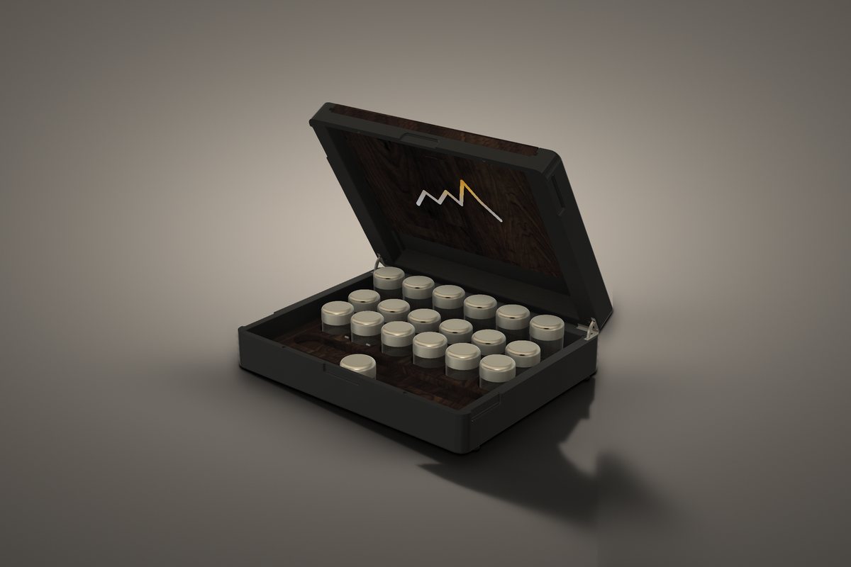 The case part-open, the quadrant hinge holding the lid.